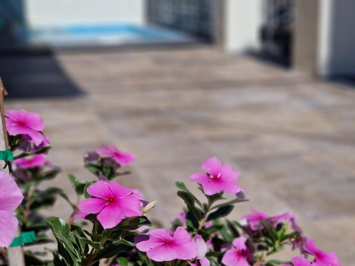 马拉加Del Parque Flats Balneario De Pina别墅 外观 照片